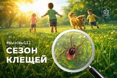 Сезон клещей 