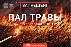 Огненная ситуация